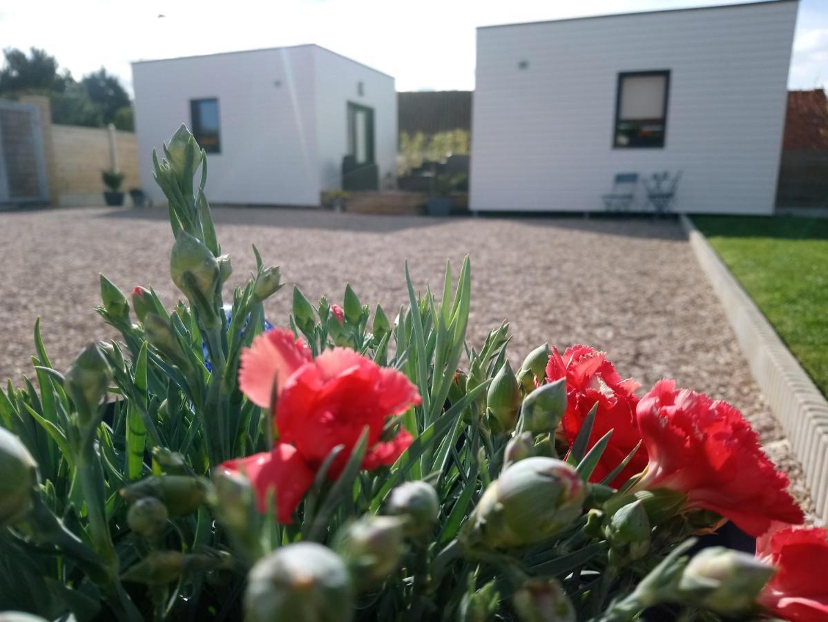 Bed and Breakfast Au Cap Norwoe Saint-Quentin-en-Tourmont Zewnętrze zdjęcie