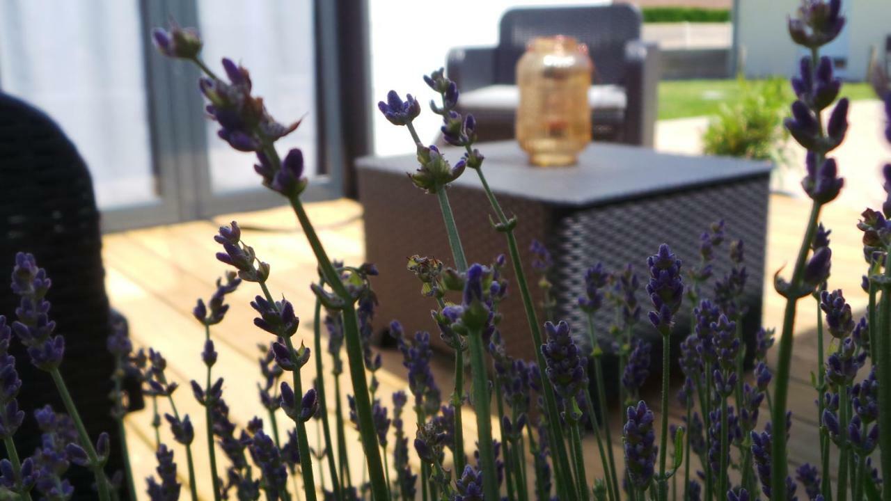 Bed and Breakfast Au Cap Norwoe Saint-Quentin-en-Tourmont Zewnętrze zdjęcie